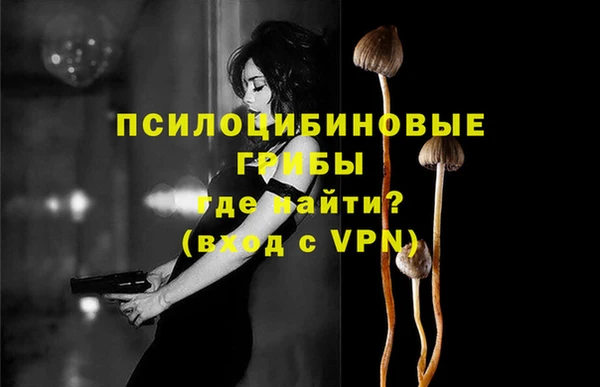 герыч Арсеньев
