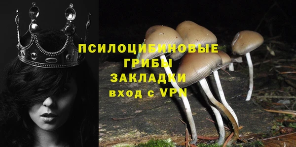 мет Аркадак