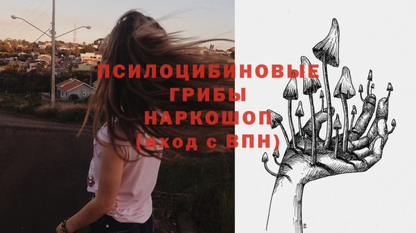 мет Аркадак