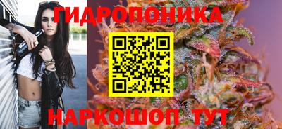 ECSTASY Кудрово
