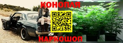 бошки Ленинск-Кузнецкий