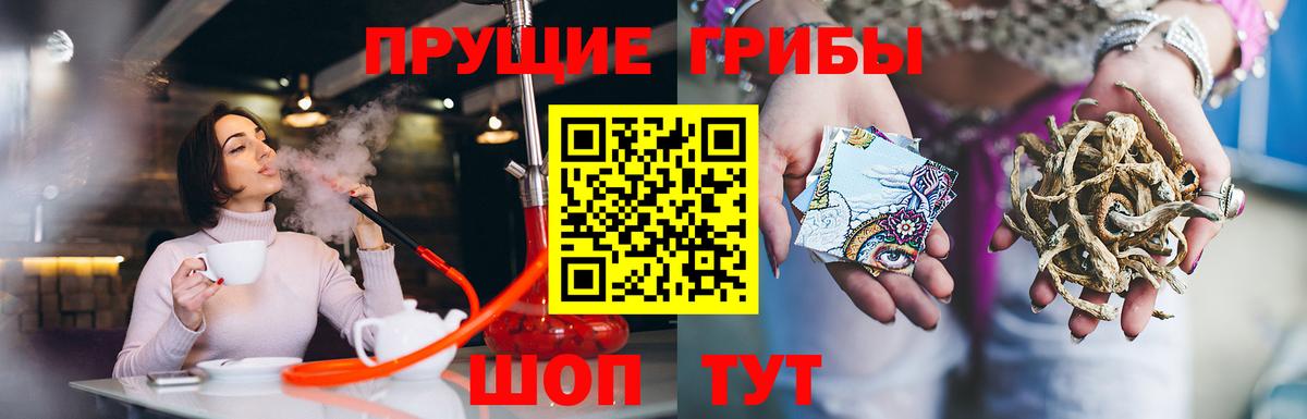 Галлюциногенные грибы Cubensis Новомосковск
