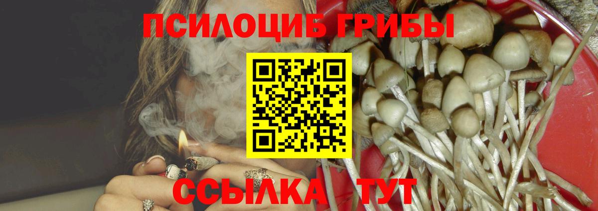 Новомосковск  Галлюциногенные грибы ЛСД  Галлюциногенные грибы Cubensis  Вход с VPN 